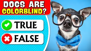 True or False General Knowledge Quiz 😏✅❌ | Questions and Answers