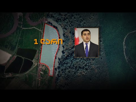 ჰექტრობით მიწა 1 ლარად | რა ქონების პატრონია შალვა პაპუაშვილი?