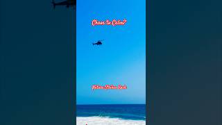 From Chaos to Calm: What I Saw on Malibu Beach Shocked Me