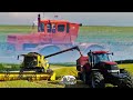 Уборка урожая пшеницы в Молдове как и в Европе комбайнами John Deere,NEW Holland и Case PUMA 210