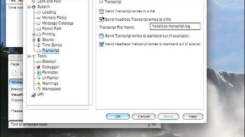VisualWorks Settings