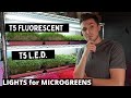 T5 GROW Lights vs T5 LED Garage Lights - Microgreen Lighting Comparison