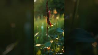 Magical Rose to Butterfly Transformation 🌹🦋 | Stunning AI-Generated Animation in 4K!