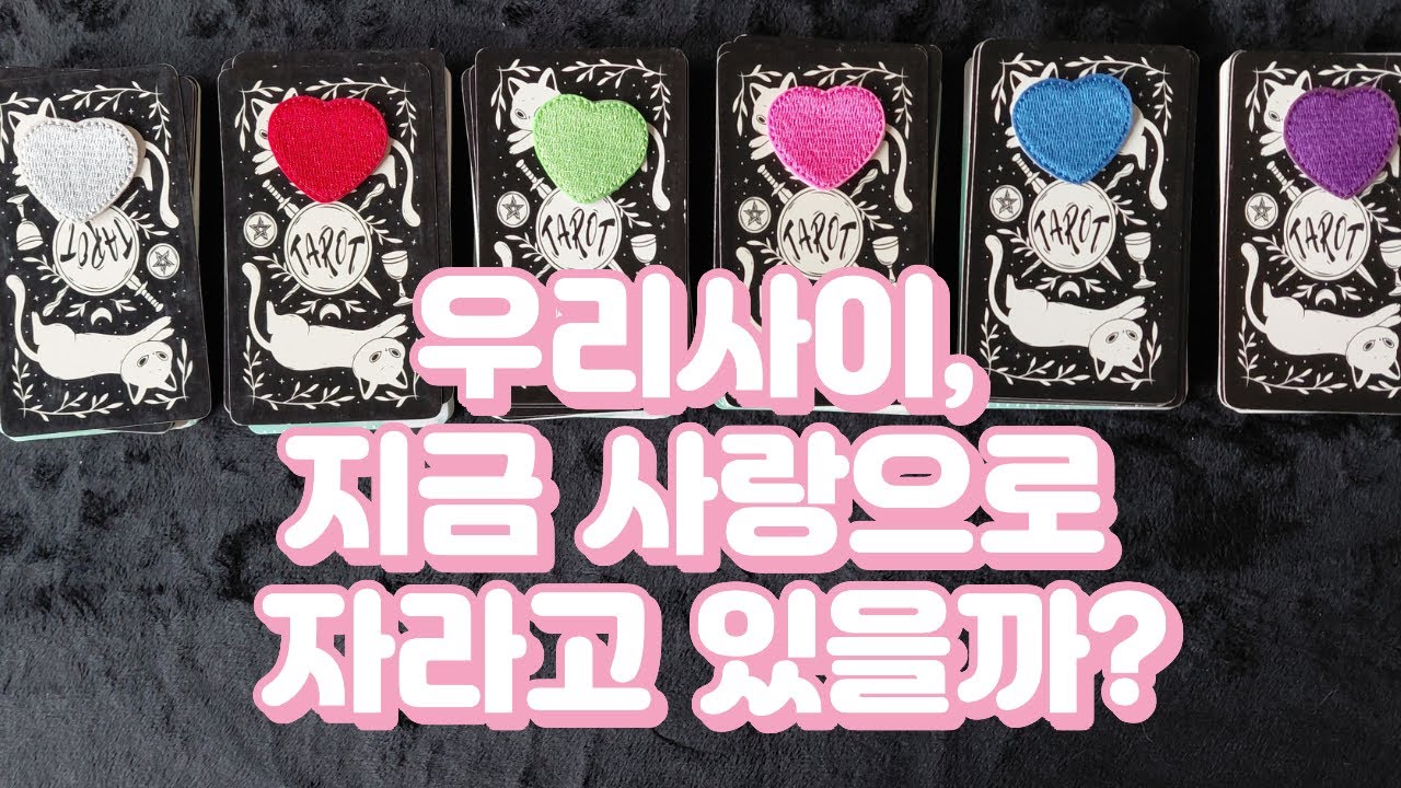 [타로] 우리 사이, 지금 사랑으로 자라고 있을까,
