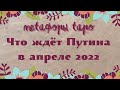 Что ждёт Путина в апреле 2022// прогноз Таро и Мак