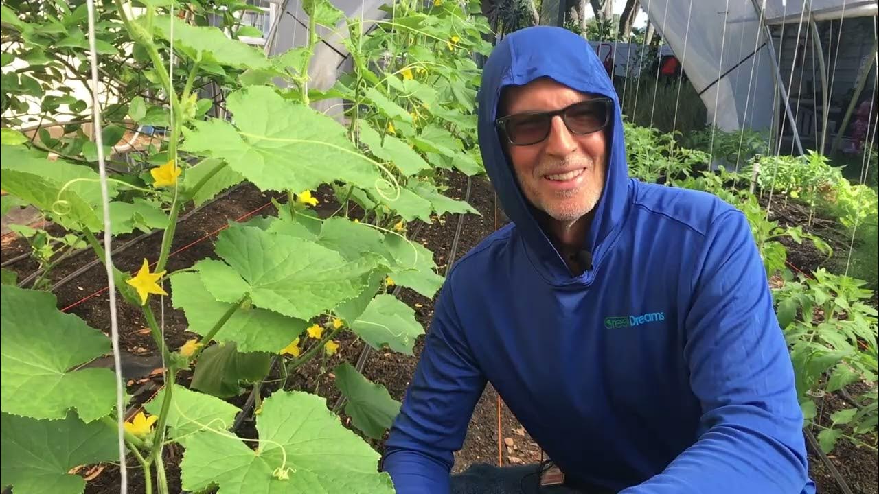Farmers Friend Greenhouse Spring 2023 Garden Update. YouTube