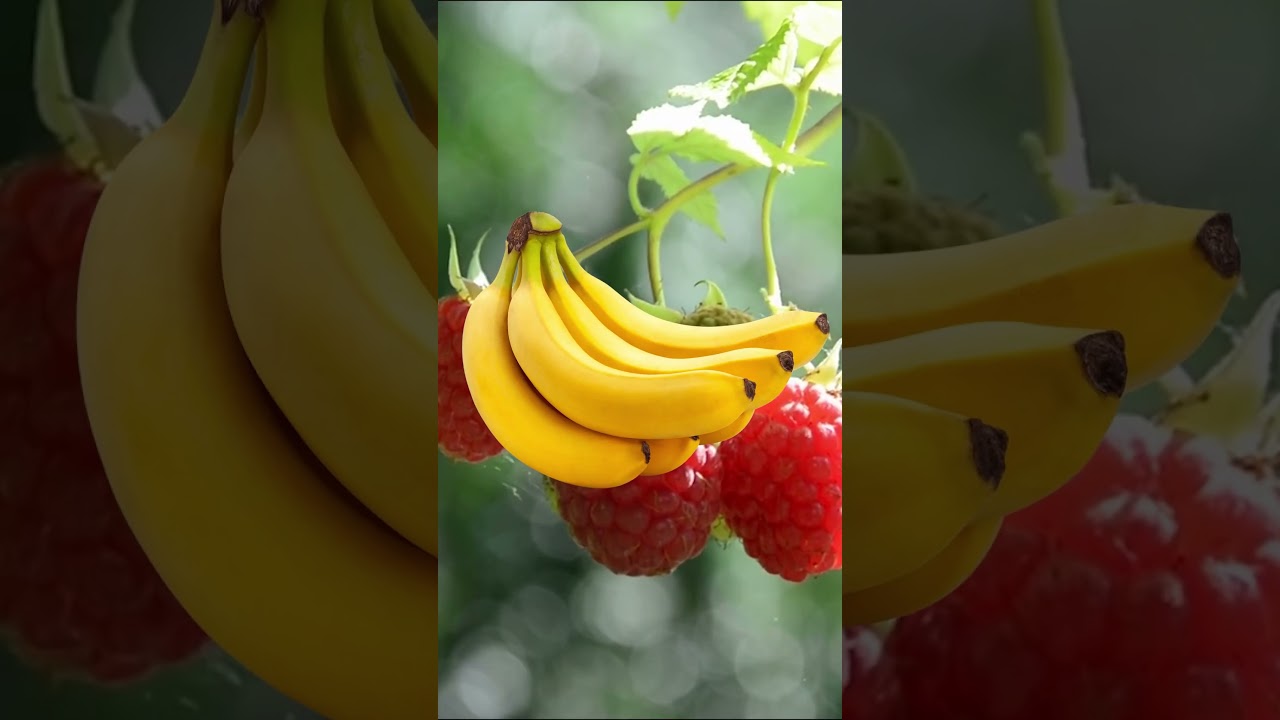 Did You Know These are Berries!? 