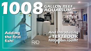 FIRST FISH IN OUR 1008-GALLON REEF AQUARIUM ON THE WEST COAST OF FLORIDA. A NEW WINDOW TO THE SEA!