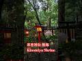 熱海の来宮神社 Kinomiya Shrine near Atami Spa Japan travel 日本旅367