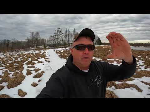 Behind the Scenes #313 - Good News for X231 & What to Expect for Spring/Early Summer Video Content