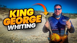 BEACH FISHING for King George Whiting WADING THE FLATS