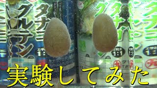 タナゴ釣り　タナゴグルテン買って実験してみた