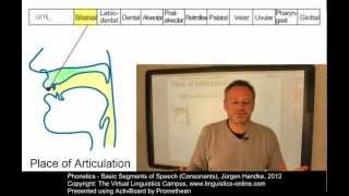 PHO106 - Basic Segments of Speech (Consonants)