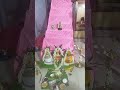 #navaratri#special#navarathri #first #day#shortvideo#shorts #navaratri #month #always #special 🎄🎄🐇🦤🦚