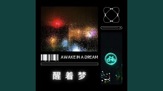 AWAKE IN A DREAM (醒着梦)