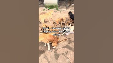 For any support, click the link in our channel description to donate. Every little bit truly helps.