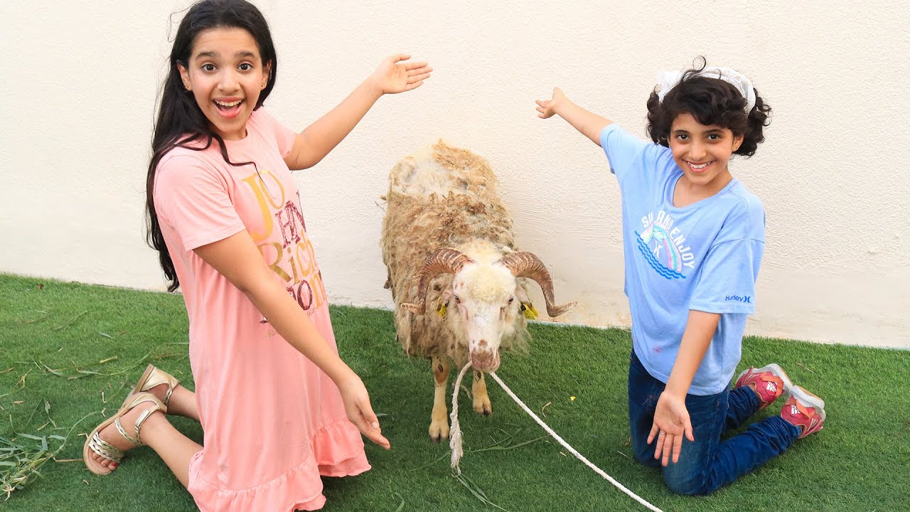 فاجات شفا والبنات بخروف العيد ! هربوا خافوا منه !😂