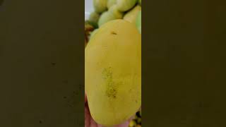 sweet mangoes it's delicious and flavorful fruit good source of vitamins C #shortvideofacts #viral