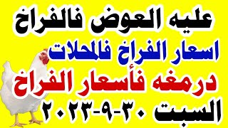 اسعار الفراخ البيضاء اليوم  | سعر الفراخ البيضاء اليوم السبت 30-9-2023 جمله وقطاعي