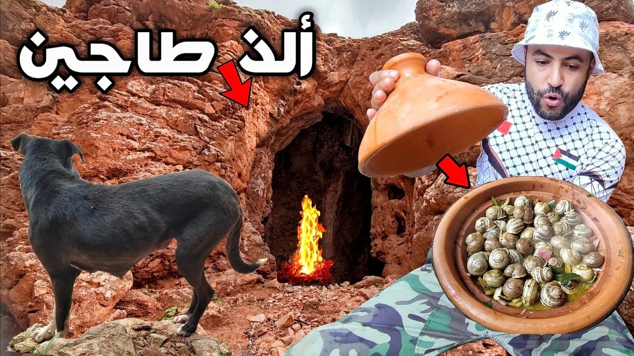 رحلة جمع وطهي الحلزون بأحسن طريقه على الإطلاق في الطاجين المغربي 👌😋🇲🇦🔥