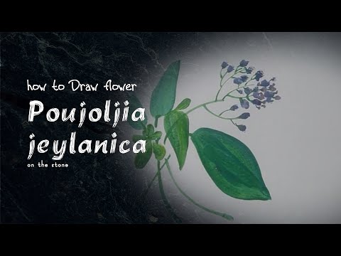 Video Vẽ Hoa Poujoljia jeylanica| how to draw flower... - youtube