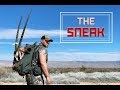 "The Sneak" A Free Range New Mexico Oryx Adventure