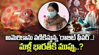 Rare Rabbit Fever Cases Rises In US | Symptoms and Its Impact | SumanTV Texas