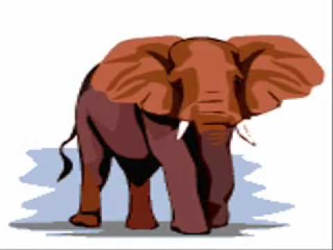 Animals Video for Kids.flv thumbnail