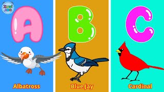 ABC Birds Song - Learn Names of Birds with Alphabet from A to Z | Xavi ABC Kids Songs