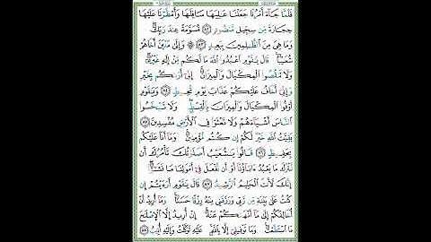 سورة هود الصفحة ٢٣١
