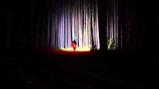 Candlepower Tech Tt3000