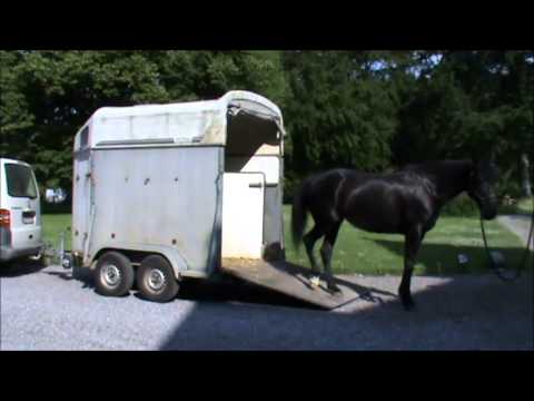 cheval van