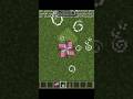 Minecraft new viral Tiktok hack 💀🤯🫵😎🫰📈 #like #minecraft #subscribe #gaming #trending #ashortaday