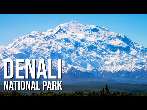 Video: Denali-Nationalparks: Die Besten Möglichkeiten, Den Park Zu Genießen