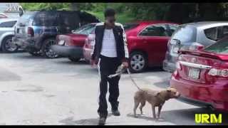 Young Moose [Behind The Scene] Dumb Dumb (Music Video)
