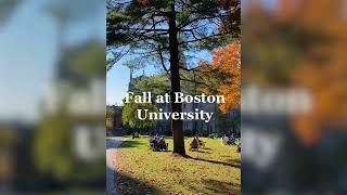 Fall at Boston University