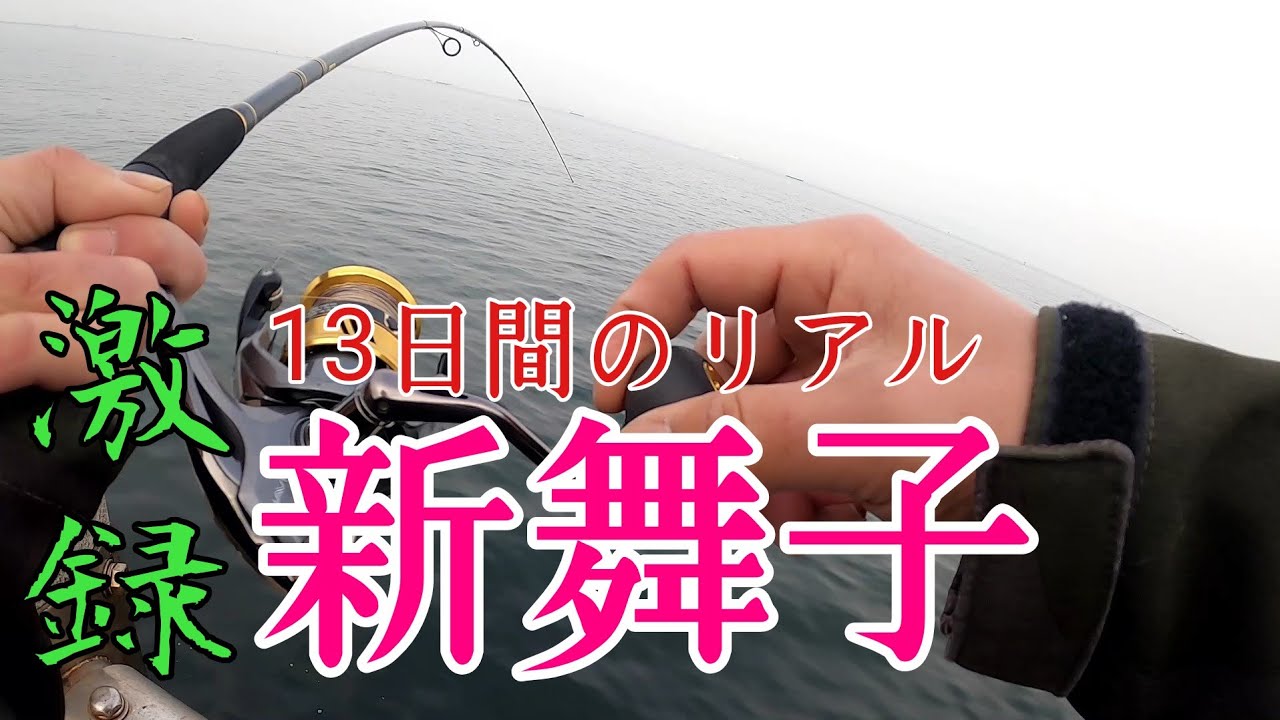 【新舞子】13日間釣りしてみたら、、、！知多半島釣り！南知多釣り！