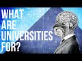 What are universities for