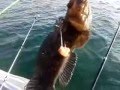Морская Рыбалка В Норвегии Видео Часть 1 «Рыболовные Путешествия» [Морская Рыбалка Смотреть Онлайн]