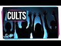 Understanding Cults