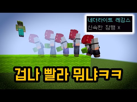 개 빠른 닌자브릿지