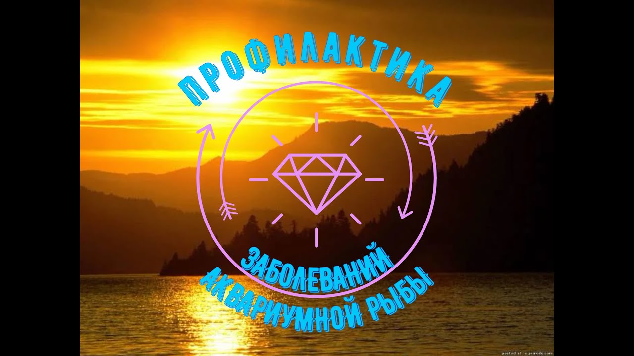 Аквариумы, Профилактика заболеваний, Aquarists of Russia.