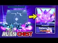 Got Full Team Of Dark Matter Galaxy Fox & Broke The Giant Alien Chest! - Roblox Pet Simulator X