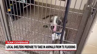 Mass animal welfare groups working to help Texas shelters