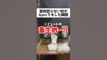 とても便利なストレス発散方法【APEX】#shorts,#エーペックス,#apex,#apexlegends,#ストレス解消,