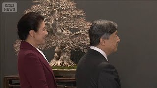 天皇ご一家 盆栽の展覧会をご覧に 推定樹齢約400年の五葉松も 信子さま