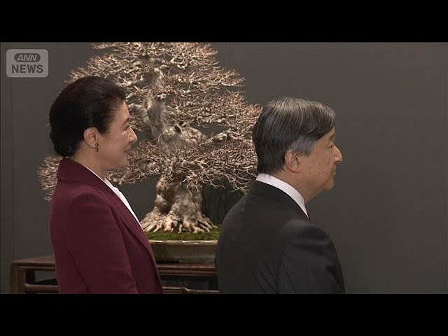 天皇ご一家　盆栽の展覧会をご覧に　推定樹齢約400年の五葉松も　信子さまが案内(2026年2月17日)