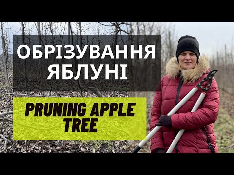 Обрізування дерев яблуні