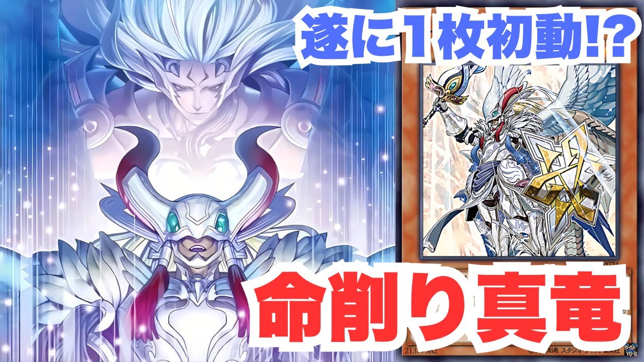 遊戯王【新規入り構築！！】命削り真竜デッキ 40枚 遊戯王 命削り真竜 デッキ】命削りの宝札 強欲で謙虚な壺 真竜凰