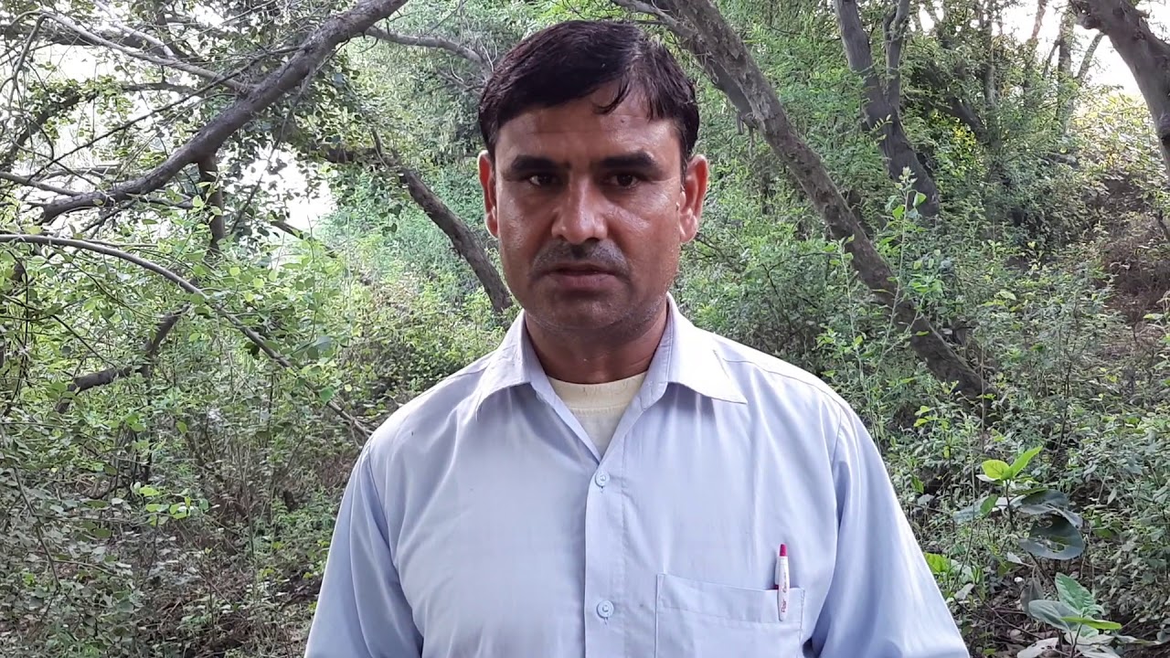 snake rescue team Night ki information 9255130130